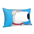 thumbnail image 2 of Family Guy Pillowcase Cushion Pillow Covers With Hidden Zipper Pillow Case Decor For Bed Dorm Sofa Couch Car 16"x24", 2 of 8