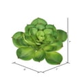 thumbnail image 3 of Vickerman FA170701 Vert Succulent Cactus Simple, 3 of 3