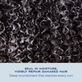 thumbnail image 6 of SheaMoisture Daily Hydrating Conditioner For All Hair Types 100% Virgin Coconut Oil Sulfate-Free, 13 Fl oz, 6 of 11