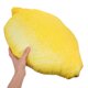 thumbnail image 3 of unbranded Almohada Con Forma De Tela Plush Cojín Decorativo Amarillo Para Sala Y Descanso, 3 of 6