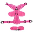 thumbnail image 5 of Blue Adjustable Cat Harness and Leash Set Escape Proof Vest Breathable Mesh Reflective Pet Harness with 59 in Nylon Leash for Cats and Small Dogs Walking Training 23x19 cm, 5 of 9