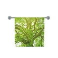 thumbnail image 3 of MKHERT Big Tree in A Forest Bath Towel Hand Towel Shower Towel Washcloth 30x56 inch, 3 of 3