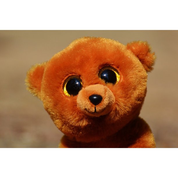 teddy bear eyes online