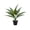 A, variant on Tuscom Artificial Seven Colored Orchid Plant 14 Inch Faux Colorful Phalaenopsis, Lifelike Multicolor Silk Orchid in Pot for Home Office Desk Living Room Decor