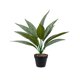 thumbnail image 2 of Plantas artificiales en maceta | Vegetación artificial para la decoración del hogar | Follaje realista de PVC para sala de estar, oficina y dormitorio, 2 of 6