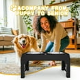 thumbnail image 7 of Adjustable Elevated Dog Bowls with 2 Stainless Steel Bowls – Non-Slip Stand, 5 Heights (3.54" to 12.13") for Medium & Large Dogs, Black, 7 of 7