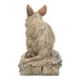 thumbnail image 7 of Hi-Line Gift 87650-N Mouse Driftwood Look, 7 of 7