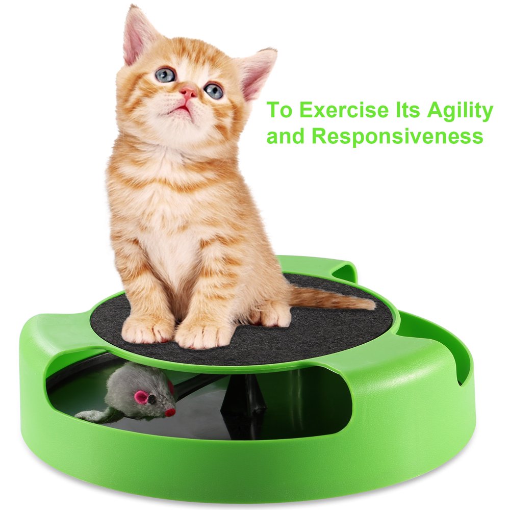 interactive cat toys