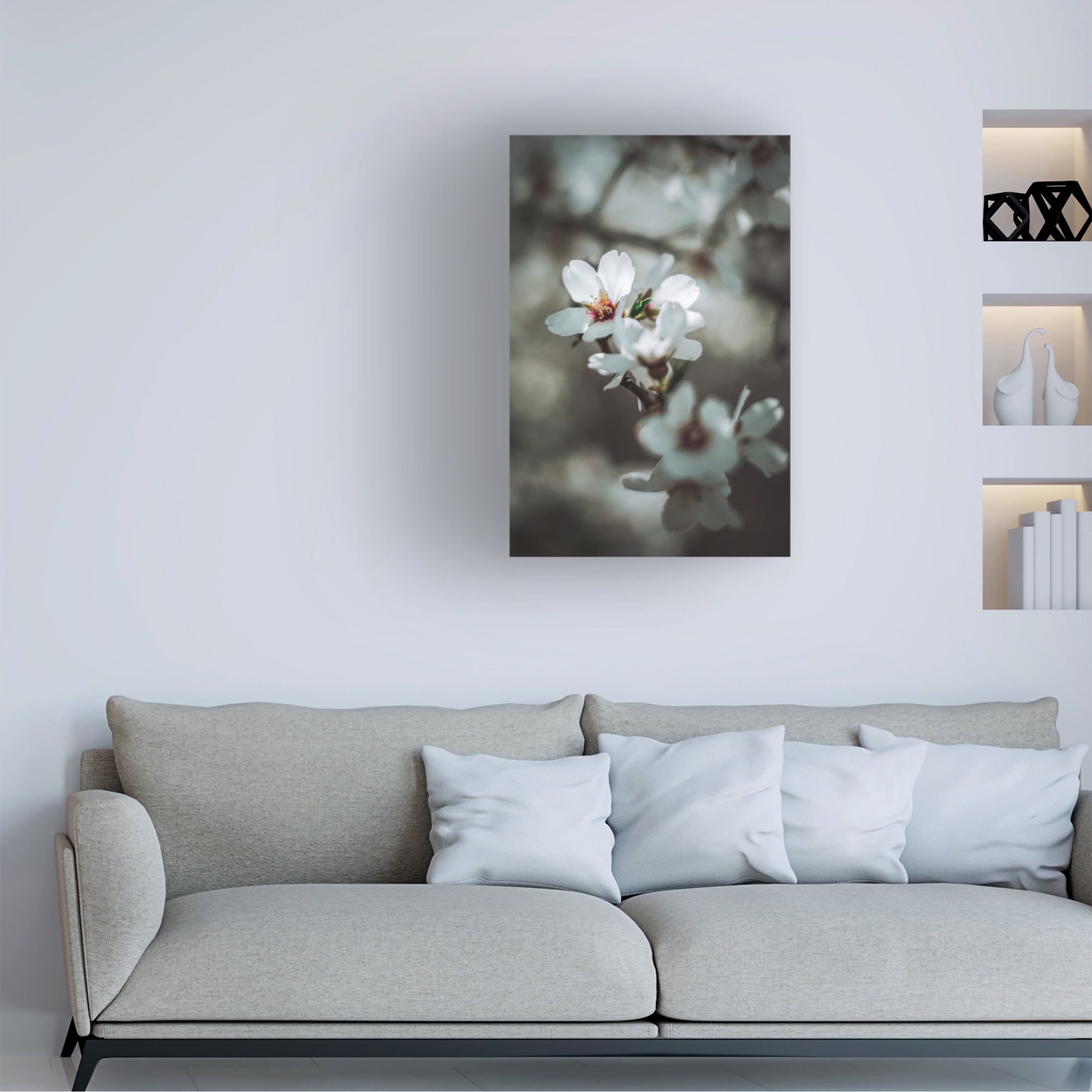 Trademark Fine Art Tim Mossholder Almond Blossoms Canvas Wall Art