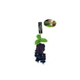 thumbnail image 4 of Penn-Plax Fruit Kabob, 4 of 4