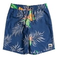 thumbnail image 1 of Short Quiksilver  Niños Paradise Express 16" Volleys Azul EQBJV03350BPZ6, 1 of 4