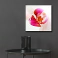 thumbnail image 6 of Epic Art 'Pink Orchid Close up 01' by Tom Quartermaine, Acrylic Glass Wall Art, 12"x12", 6 of 8