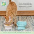thumbnail image 2 of Cat Bowls Kitty City con orejas de gato levantadas, paquete de 2, 200 ml (pastel), 2 of 5