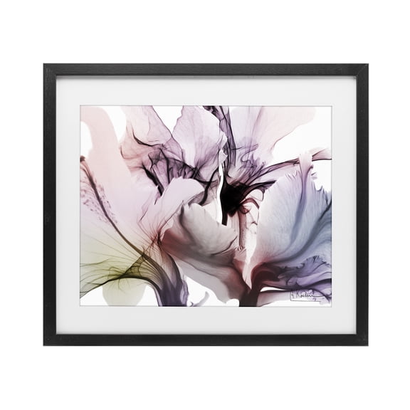Stupell Industries Contemporary Brilliant Song Flower Petals Black Framed Print Under Glass, 16 x 13, by Albert Koetsier