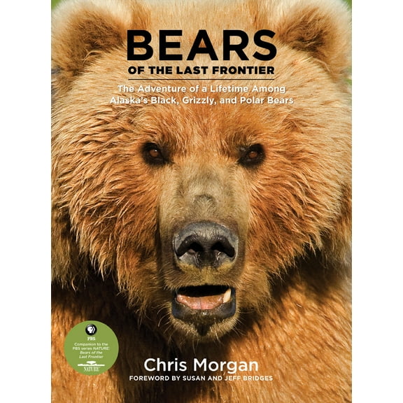 Bears of the Last Frontier : The Adventure of a Lifetime among Alaska's Black, Grizzly, and Polar Bears (Hardcover)