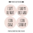 thumbnail image 5 of Baby Monthly Stickers | Baby Milestone Stickers | Newborn Stickers | Month Stickers for Baby Girl | Baby Girl Stickers | Newborn Monthly Milestone Stickers (Set of 24), 5 of 6