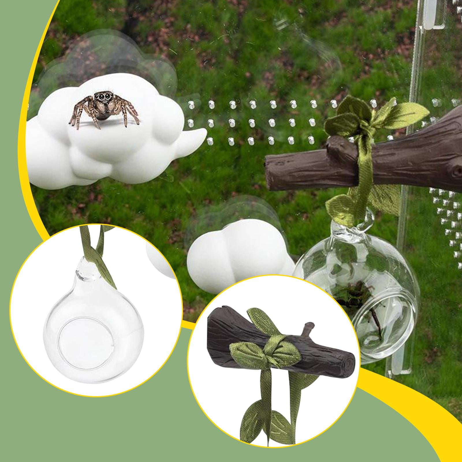 Jumping Spider Hideout Terrarium Ornament Glass Ball Decoration Plastic Material for Small Reptile Habitat Enclosure