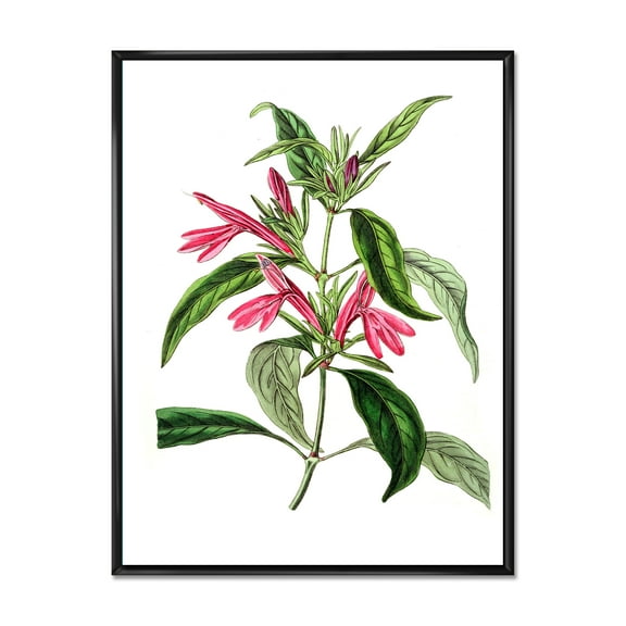 Designart 'Ancient American Flora VII' Traditional Framed Canvas Wall Art Print