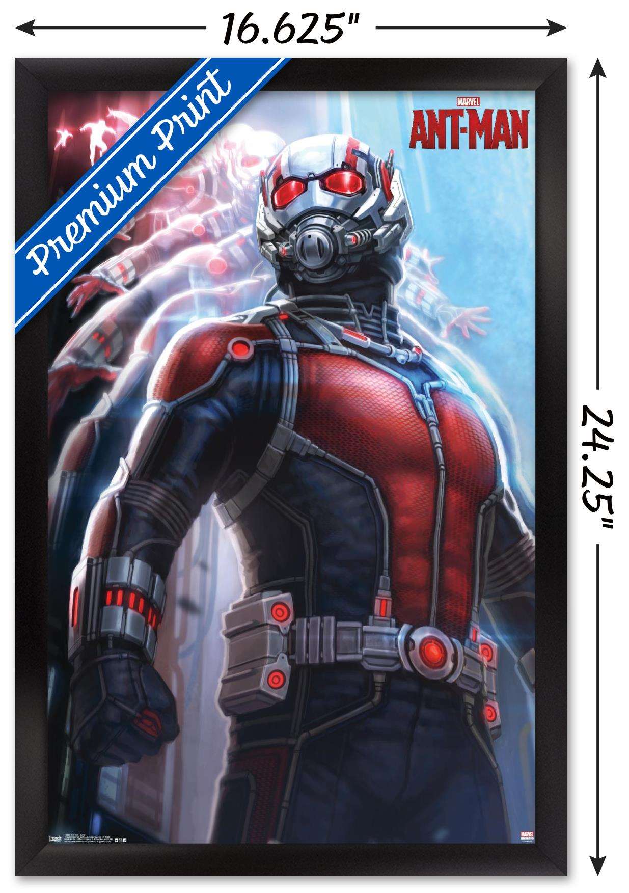 Marvel Cinematic Universe - Ant-Man - Lang Wall Poster, 14.725" x 22.375", Framed