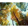 thumbnail image 3 of Wilson, Kali 17x15 Black Modern Framed Museum Art Print Titled - Looking Up, 3 of 5
