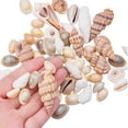 thumbnail image 6 of 1 of box About 200Pcs Mixed 16-45mm Charms Vase Filler, 6 of 8