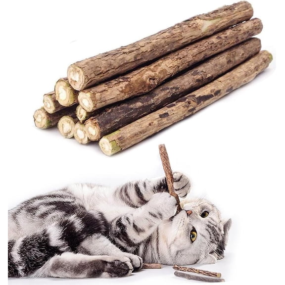 20 PCS Cat Catnip Sticks Natural Matatabi Silvervine Sticks - Cleaning Teeth Molar Tools Kitten Chew Toy Natural Catnip Cats Toy