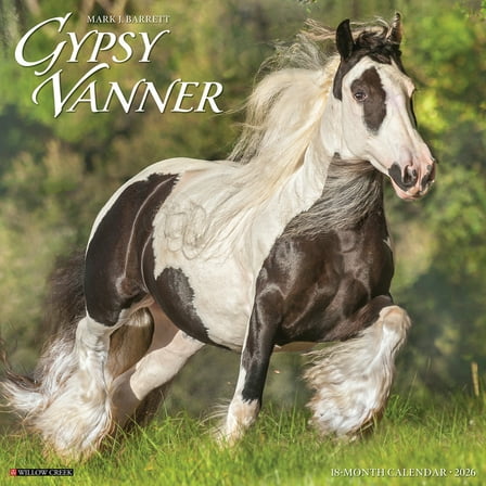 Gypsy Vanner Horse 2026 Wall Calendar, (Paperback)