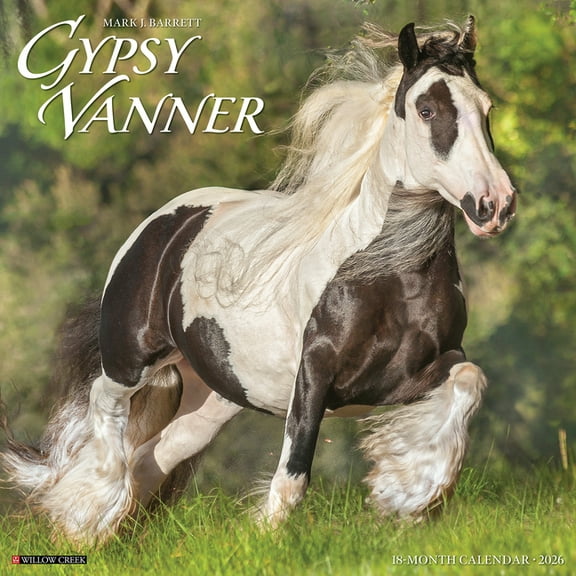 Gypsy Vanner Horse 2026 Wall Calendar, (Paperback)