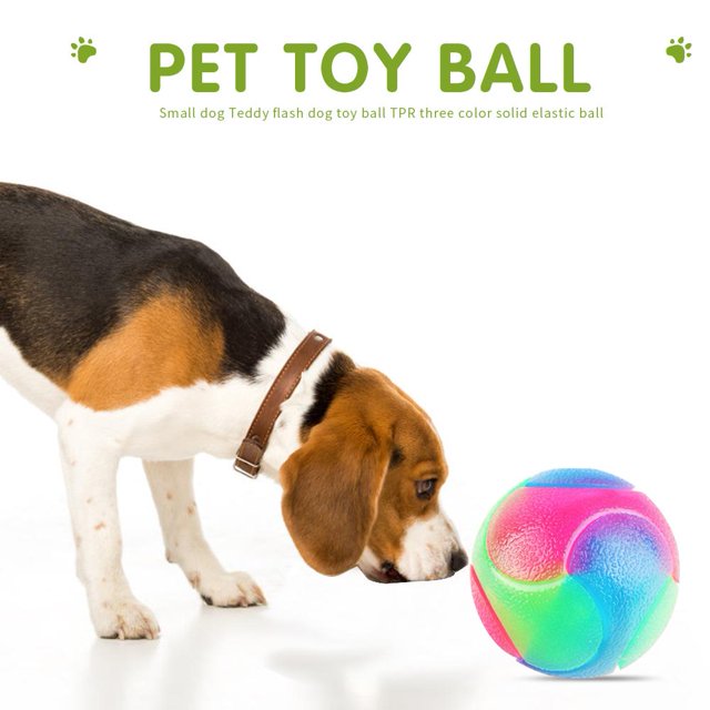 Mordedura resistente que brilla intensamente Molar Pet Ball Elástico Durable Color Squeak Juguete de goma Hugtrwg Para estrenar