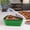 Green, variant on The Perfect ™ - Reusable Pizza Storage Container with 5 Microwavable Serving Trays - BPA-Free Adjustable Pizza Slice Container to Organize & Save Space, Red