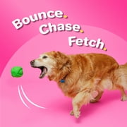 Hartz Dura Play Small Ball Dog Toy, Latex, 1ct