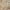 Ivory/Multi, variant on Nourison Petra Persian Rust 7'10" x 10'4" Area Rug, (8x10)