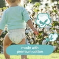 thumbnail image 3 of Couches Pampers Pure Protection, format Super Economique, 3 of 9
