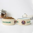 thumbnail image 3 of Dachshund Portrait Watercolor Vintage Retro Styles Ceramic Pet Bowl for Dog Cat Wiener Dog Lover Gifts Idea 2 Sizes Feeding Bowl - 00001, 3 of 5