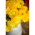 thumbnail image 3 of Millet, Karyn 17x24 Black Modern Framed Museum Art Print Titled - Yellow Ranunculus, 3 of 5