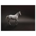 thumbnail image 2 of Design Art - Cheval Gris, 2 of 4