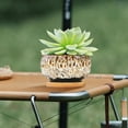 thumbnail image 5 of Ceramic Succulent Pots with Drainage - Cute Mini Planters with Attached Saucer, Indoor Outdoor Flower Containers for Cactus Bonsai Home Garden Decor, Not Included, 5 of 5