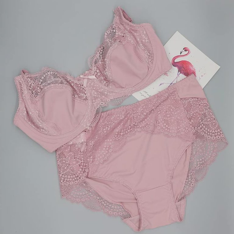 Cheap Plus Size Women Lingerie Floral Print Lace Bra Set Ultra Thin Unlined Underwear  Set 38 D- 48 D Cup XL- 6XL