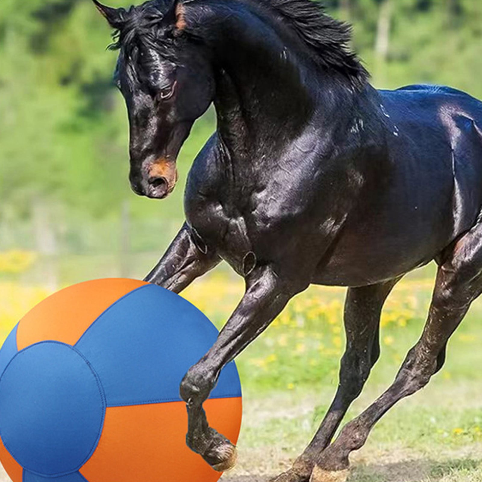 Herding Ball, Herding Ball for Dogs, Extra-Large Enrichment Ball — Tear-Resistant, Includes Protective Cover and Air Pump, Available in Three Sizes to Suit All Dogs,Blue & Orange,9.8"