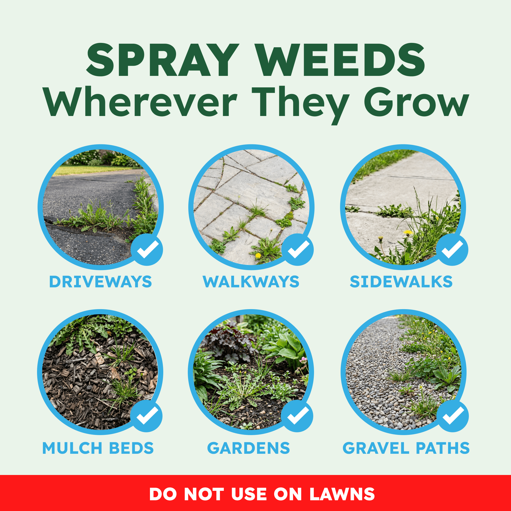 BugMD Weed Hero Plant-Powered Pet-Safe Weed & Grass Killer Spray, Ready-to-Use, 24 fl oz