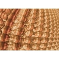 thumbnail image 1 of Ahgly Company Indoor Rectangle Patterned Cantaloupe Orange Area Rugs, 2' x 3', 1 of 6