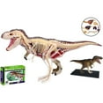 TRex Dinosaur Anatomy Model