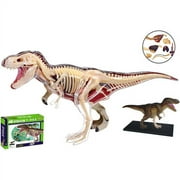 T-Rex Dinosaur Anatomy Model