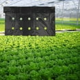 thumbnail image 6 of SPRING Ground Cover Plants Film Perforated Mulch Anti Grass Black Farm Vegetable Home Garden Agricultural Plants Care Supplies, 6 of 9
