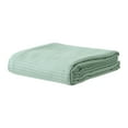 thumbnail image 2 of HCBY Solid Color Fleece Throw Blanket Super Soft and Warm Blankets for Couch Sofa and Bed Waffle Textured Cozy Fuzzy and Lightweight (Light Green 59"x43"), 2 of 6