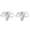 thumbnail image 6 of Faty-T Calamus Flower Stud Earrings, Elegant And Fashionable, With Zirconia Butterfly-Shaped Earrings, 6 of 22