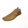 thumbnail image 1 of Prosthetic SACH Foot with Adapter, Sizes 21-30, Left & Right Available, Beige  Durable Polyurethane, Solid Ankle Cushion Heel, Lightweight & Comfortable, Easy Installation for Below-Knee Amputee, 1 of 5