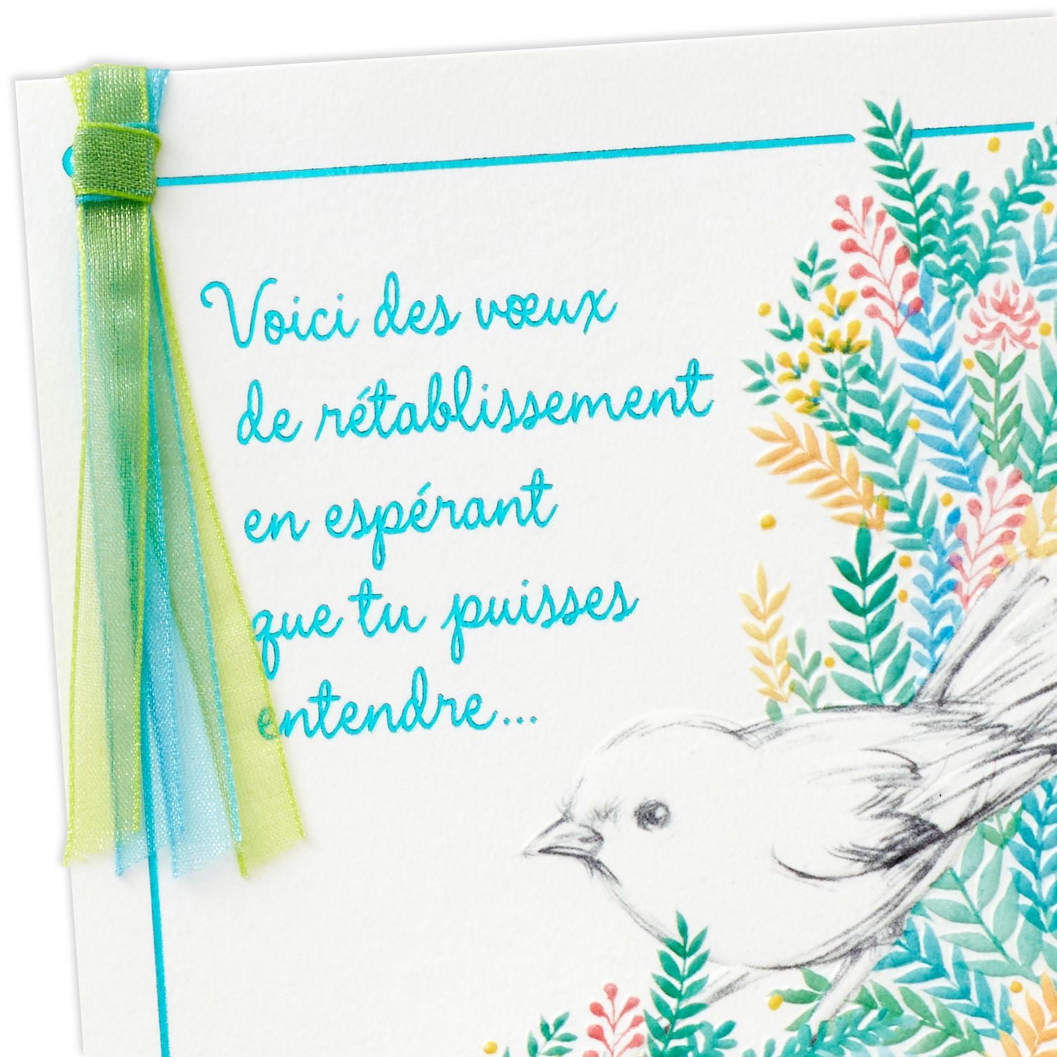 Carte de prompt rétablissement – Hallmark (Oiseau)