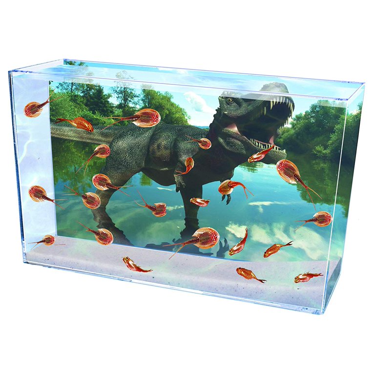 PREHISTORIC SEA MONSTER SET - Walmart.com