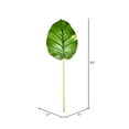 thumbnail image 2 of Vickerman 35" Artificial Green Pothos Leaf 6/pk, 2 of 3
